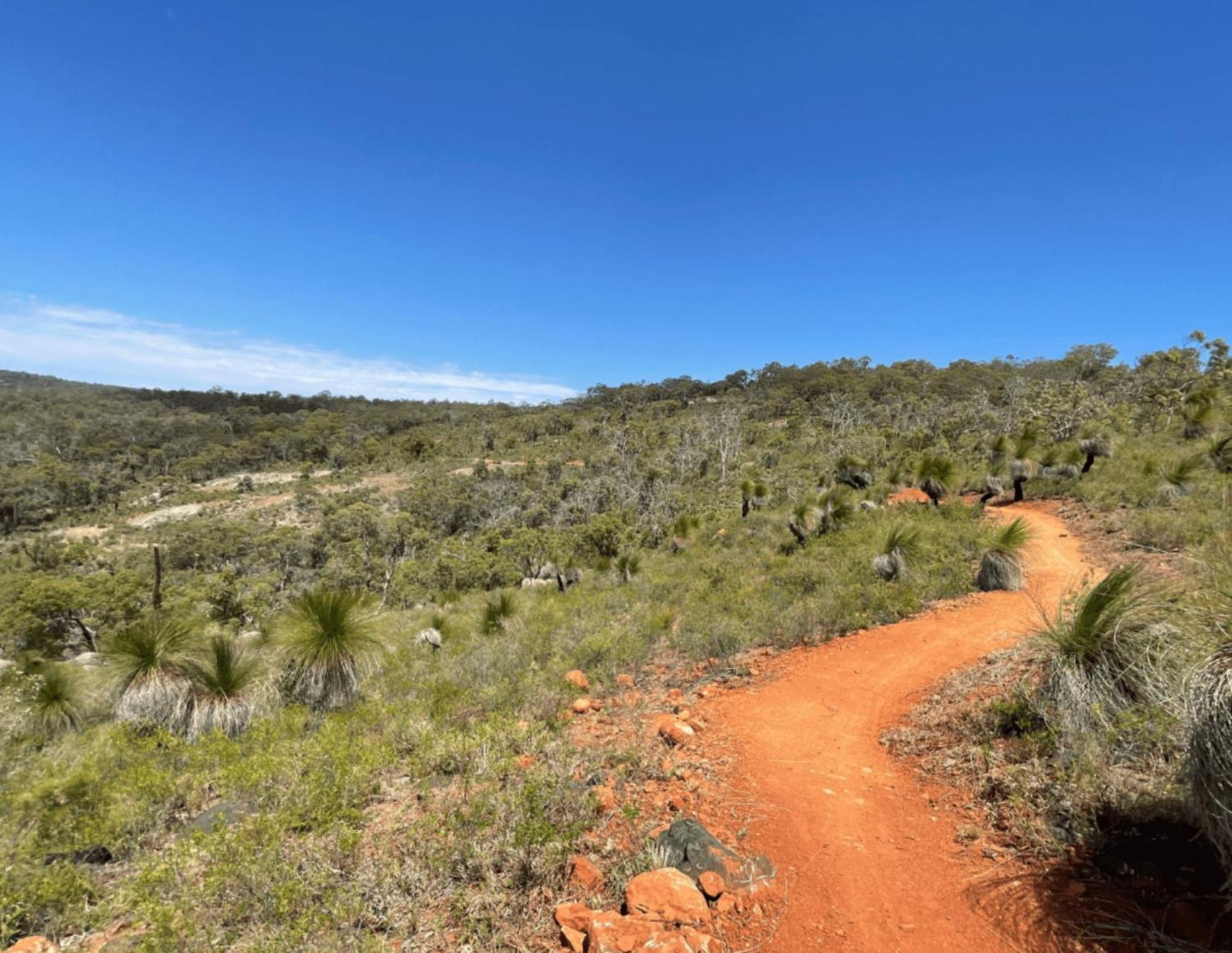 Mahogany Inn And Distillery Mahogany Creek Buitenkant foto